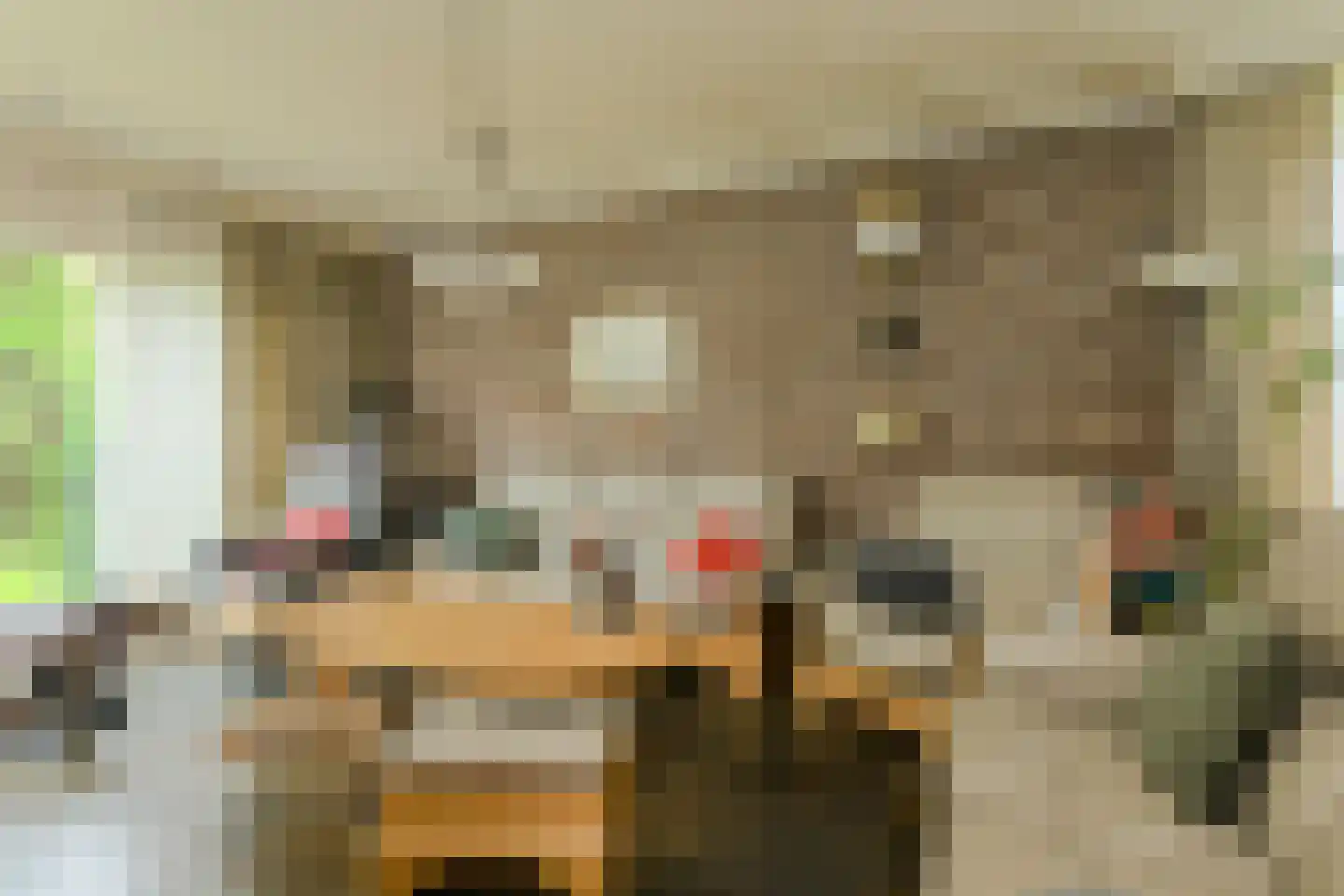 Groningenlaan 65 Lage Zwaluwe thumbnail 12