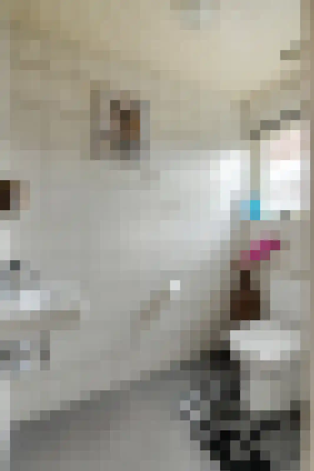 Groningenlaan 65 Lage Zwaluwe thumbnail 26