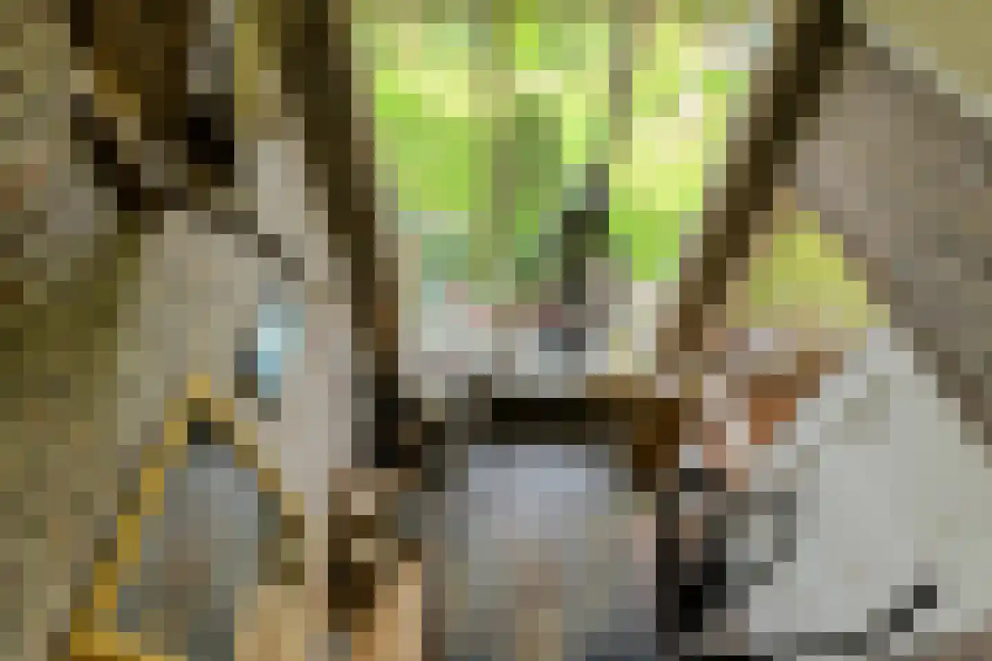 Groningenlaan 65 Lage Zwaluwe thumbnail 31