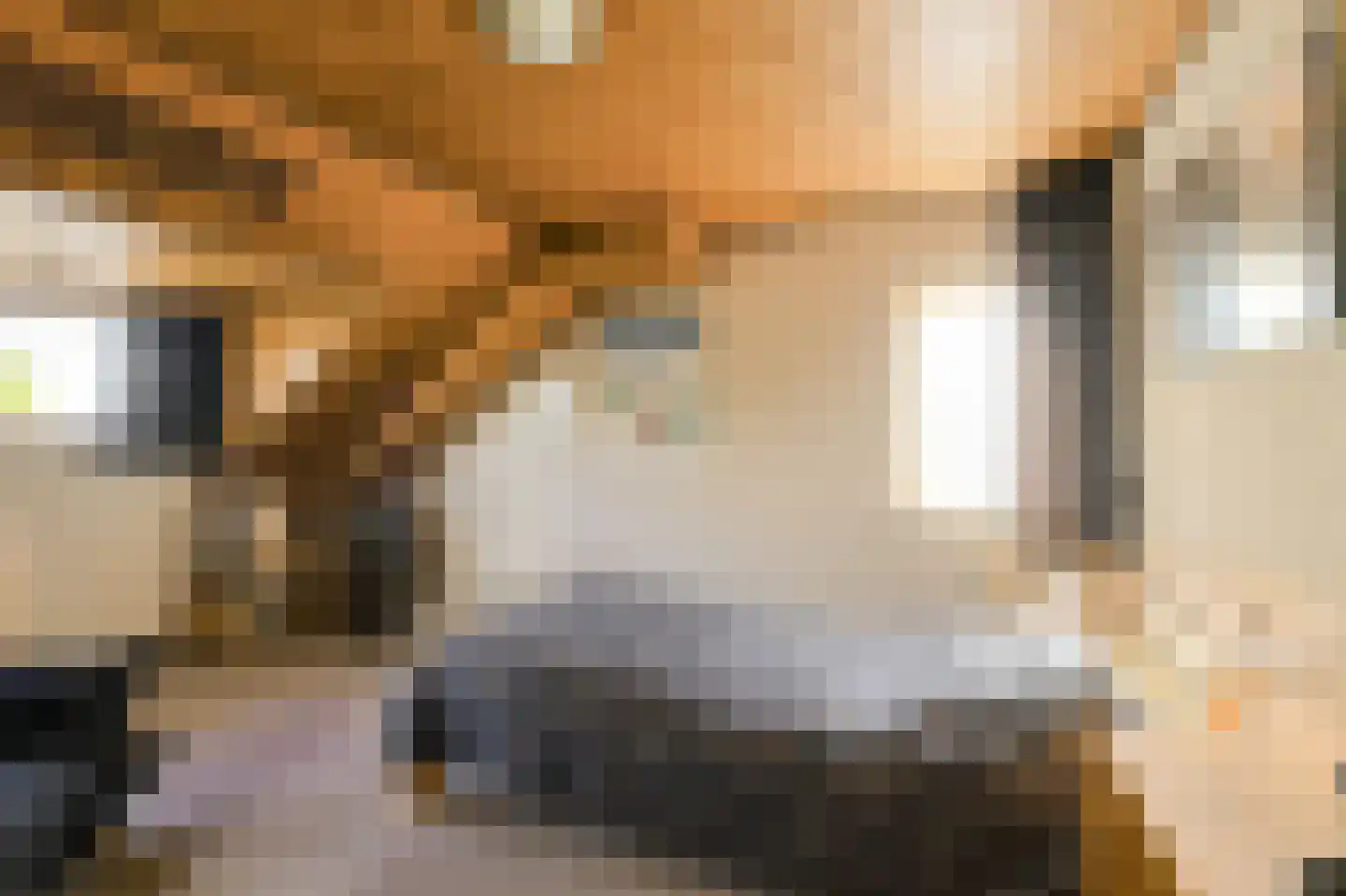 Groningenlaan 65 Lage Zwaluwe thumbnail 37