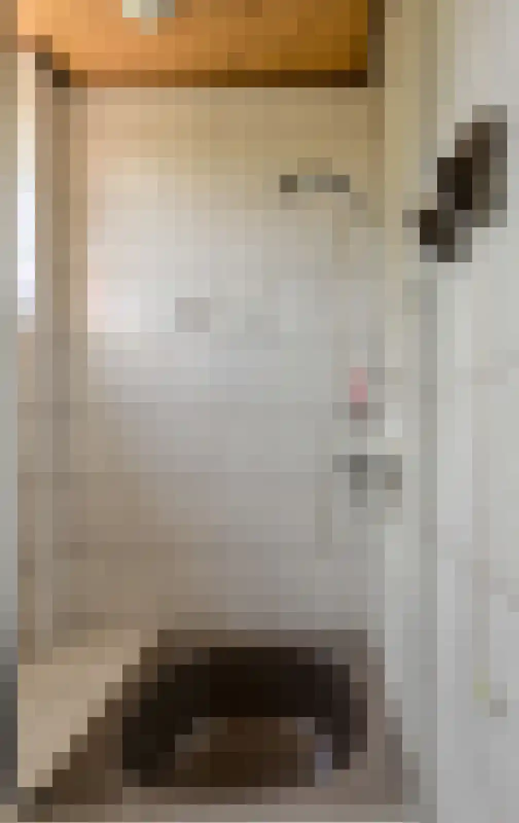 Groningenlaan 65 Lage Zwaluwe thumbnail 44
