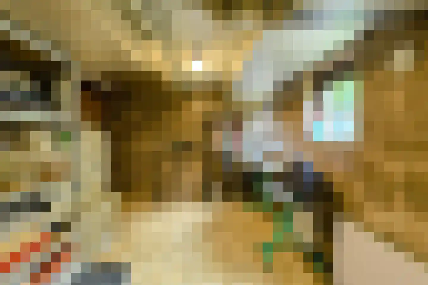 Groningenlaan 65 Lage Zwaluwe thumbnail 55