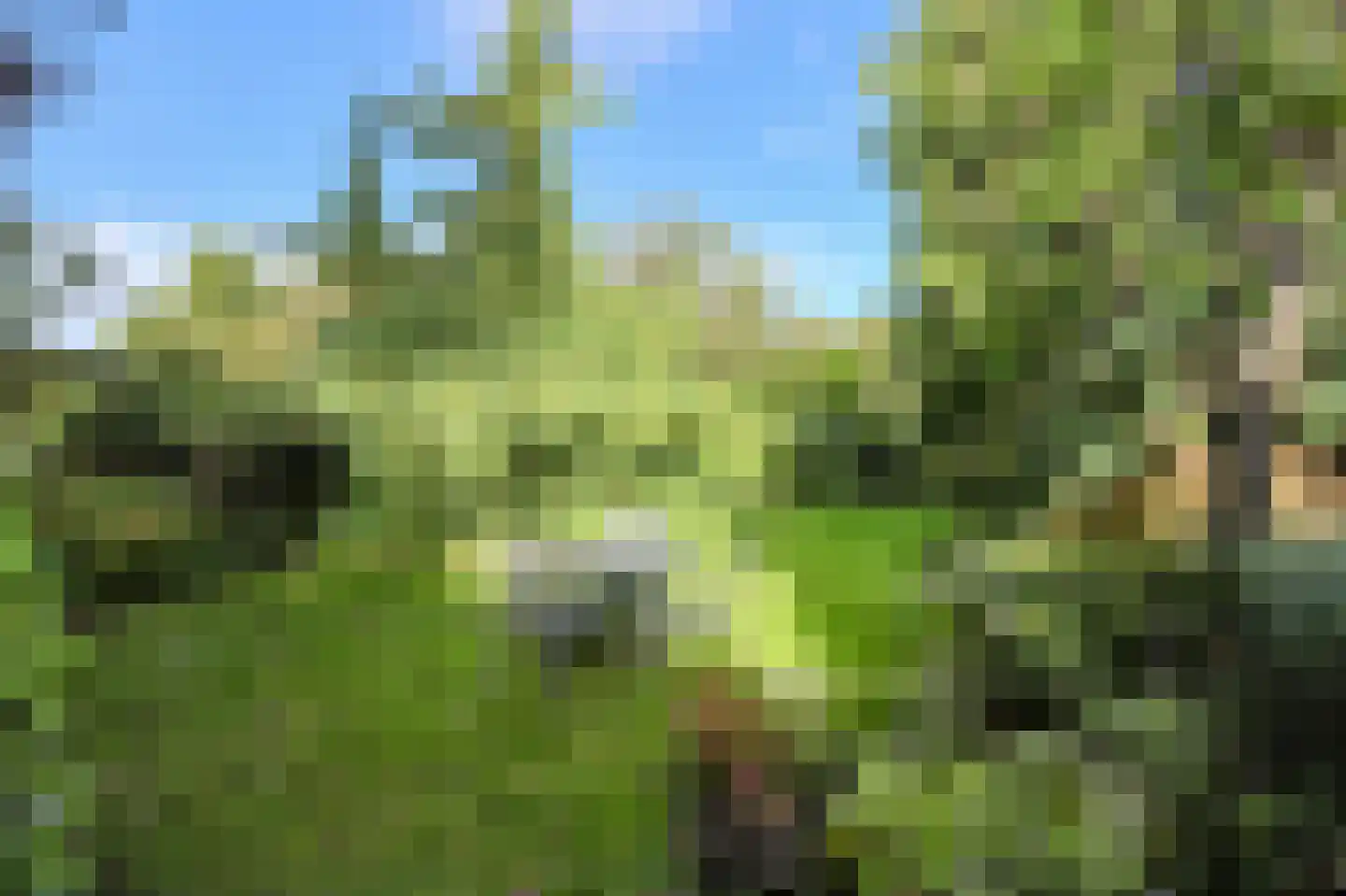 Groningenlaan 65 Lage Zwaluwe thumbnail 59
