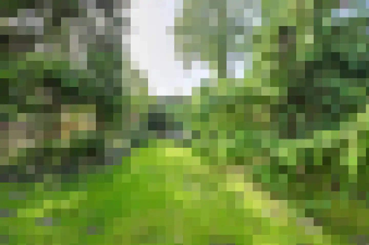 Groningenlaan 65 Lage Zwaluwe thumbnail 60