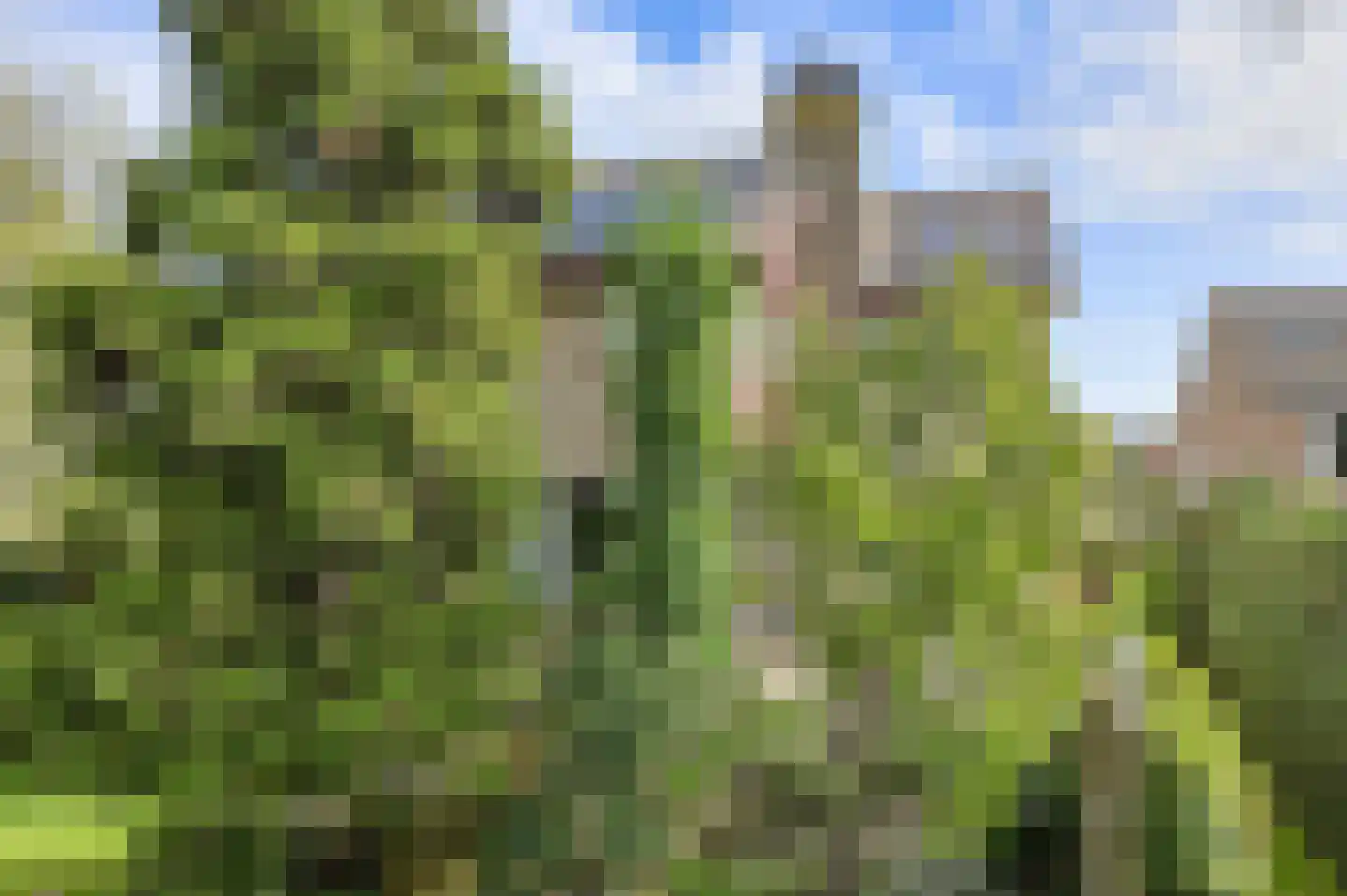Groningenlaan 65 Lage Zwaluwe thumbnail 62