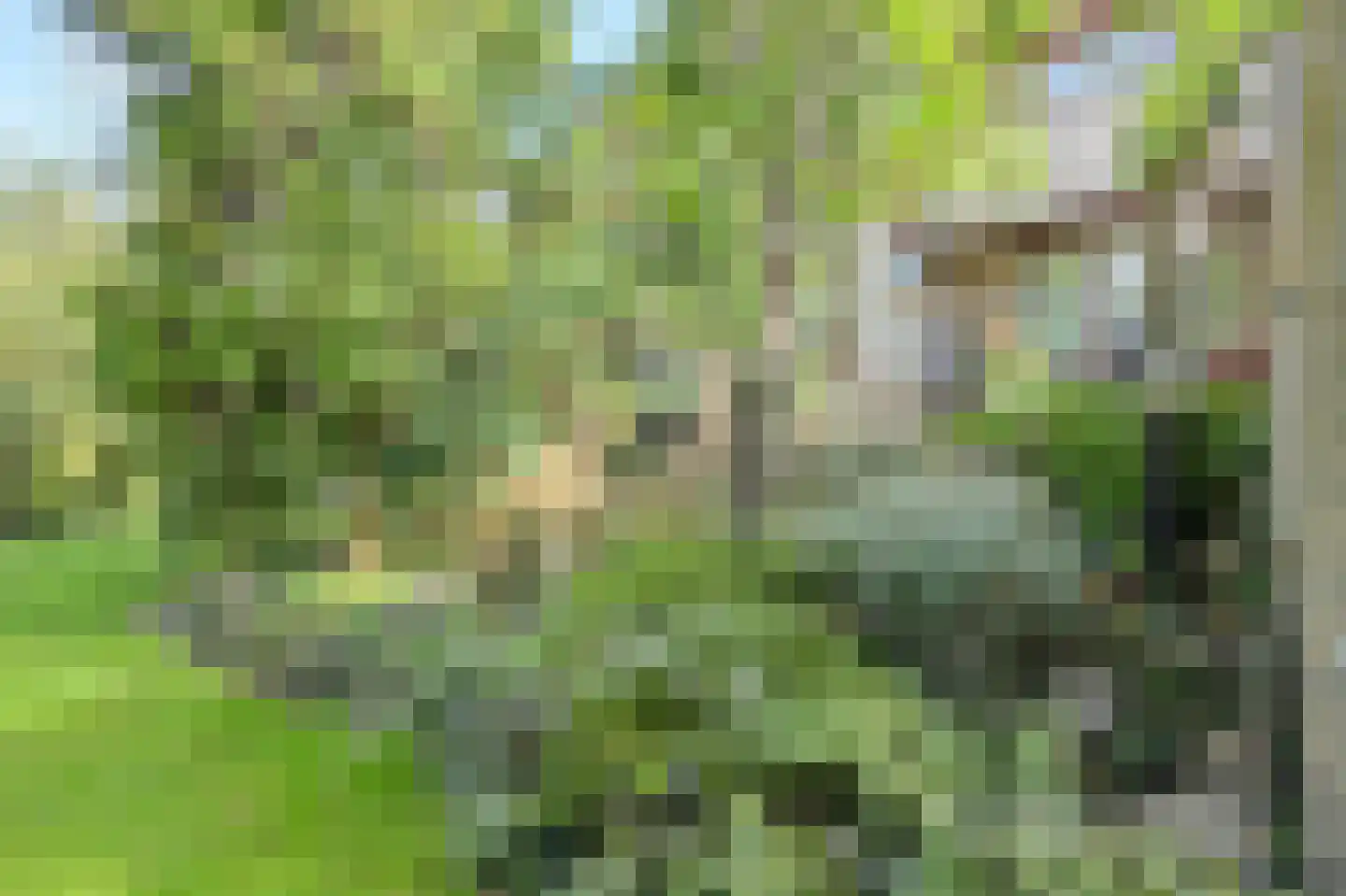 Groningenlaan 65 Lage Zwaluwe thumbnail 63