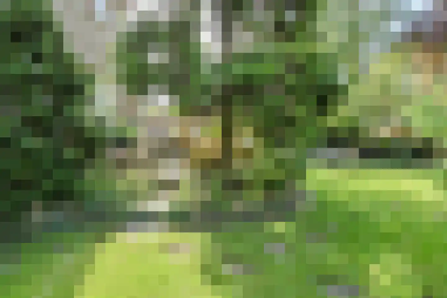 Groningenlaan 65 Lage Zwaluwe thumbnail 65