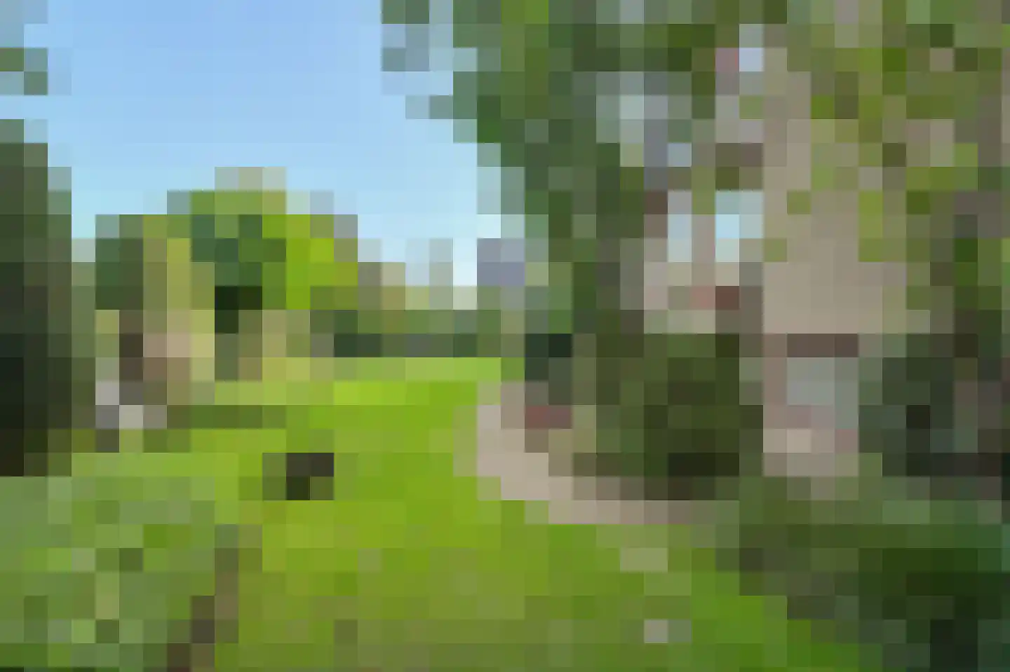 Groningenlaan 65 Lage Zwaluwe thumbnail 66