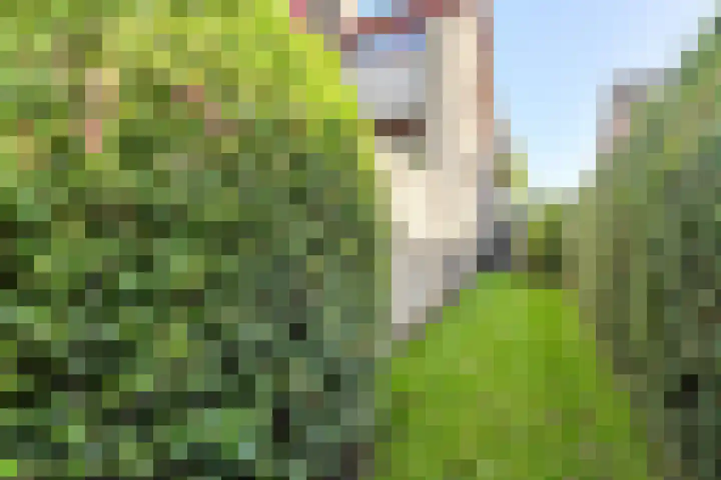 Groningenlaan 65 Lage Zwaluwe thumbnail 69