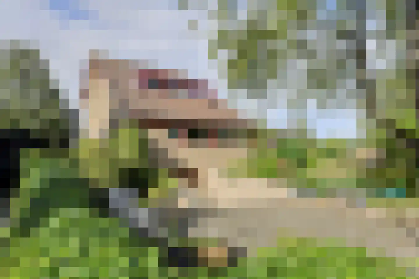 Groningenlaan 65 Lage Zwaluwe thumbnail 7