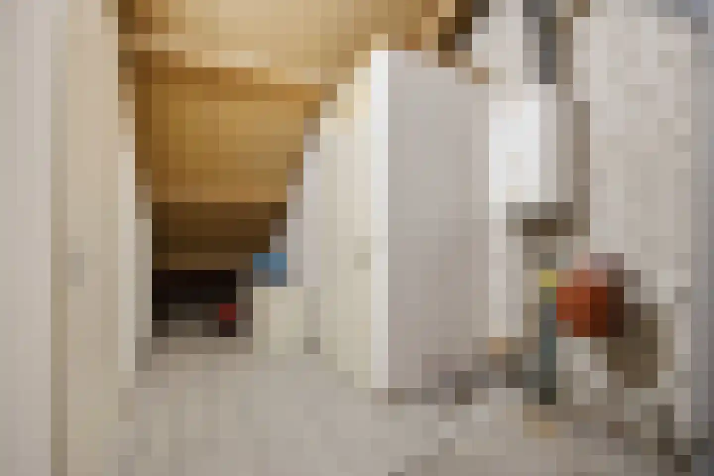 Groningenlaan 93 Lage Zwaluwe thumbnail 17