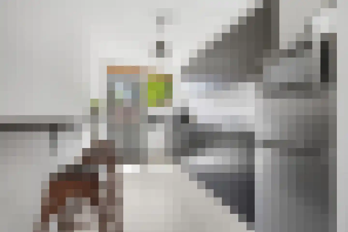 Groningenlaan 93 Lage Zwaluwe thumbnail 8