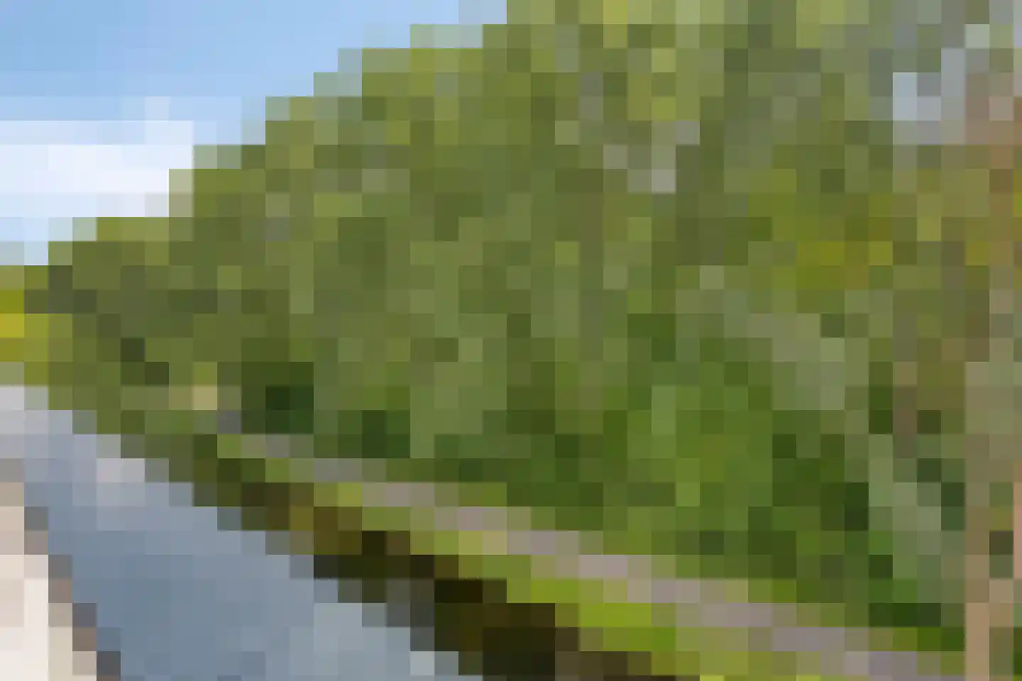Groningensingel 1023 Arnhem thumbnail 19