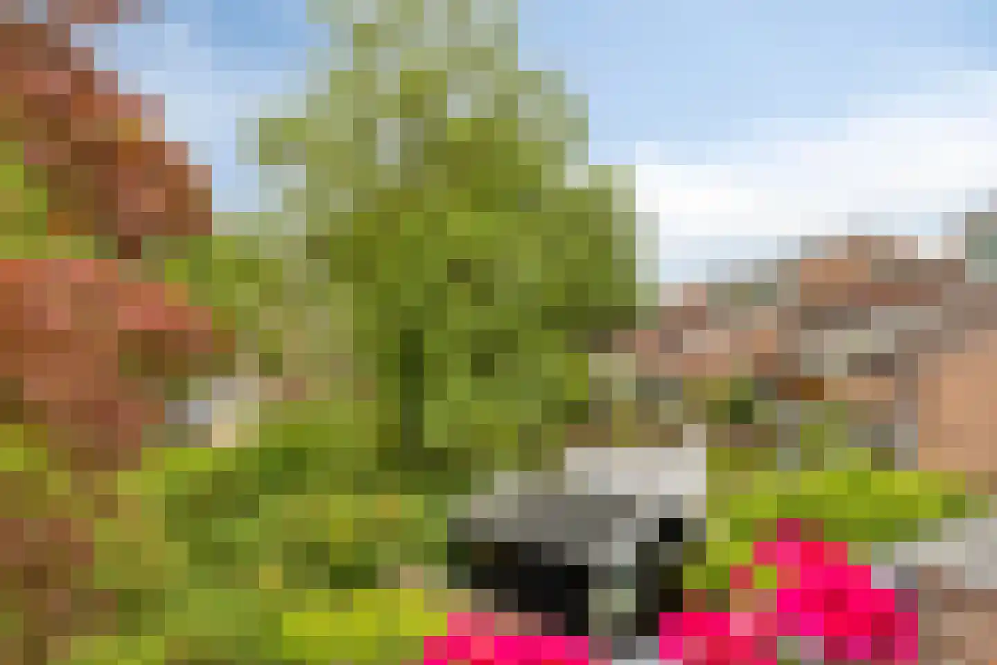 Groningensingel 1061 Arnhem thumbnail 25