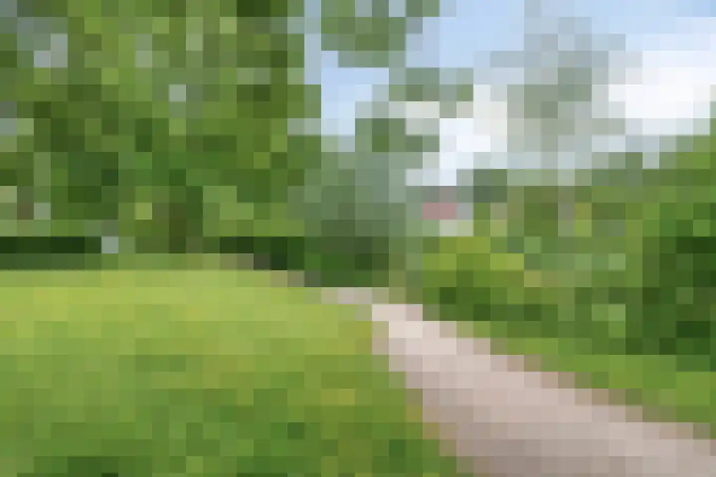 Groningensingel 1061 Arnhem thumbnail 28