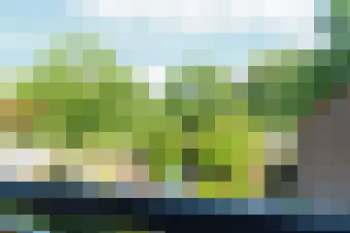 Groningensingel 1087 Arnhem thumbnail 6