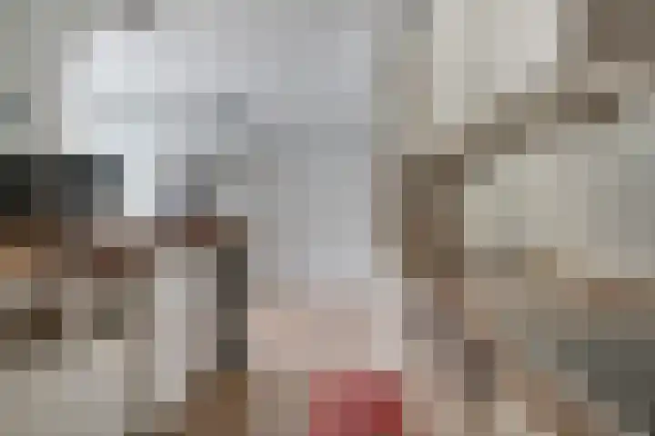 Groningensingel 1127 Arnhem thumbnail 17