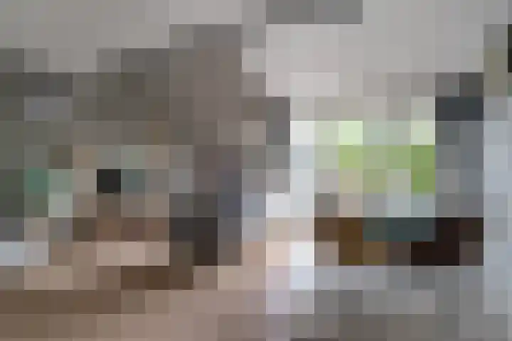 Groningensingel 1127 Arnhem thumbnail 18