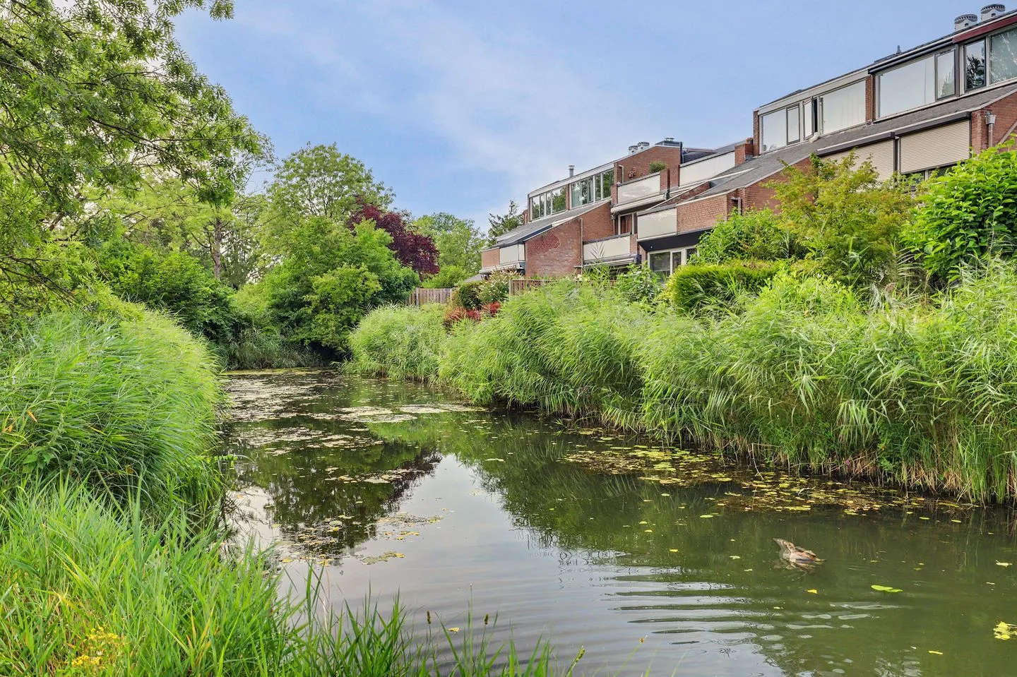 Groningensingel 1161 Arnhem thumbnail 37