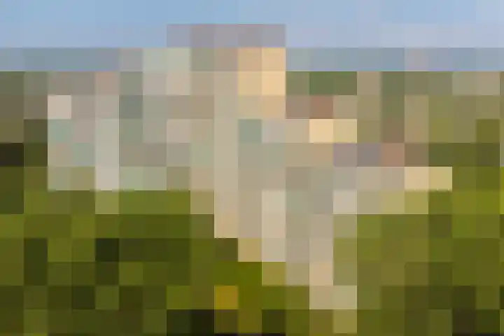 Groningensingel 555 Arnhem thumbnail 41