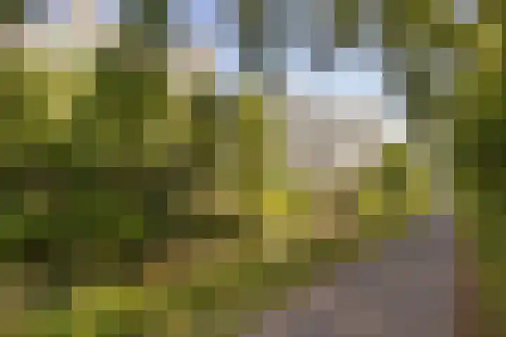 Groningensingel 555 Arnhem thumbnail 43