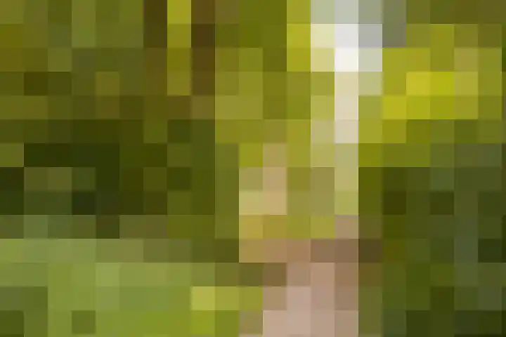 Groningensingel 555 Arnhem thumbnail 44