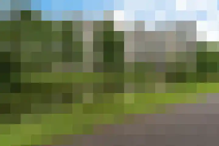 Groningensingel 567 Arnhem thumbnail 42