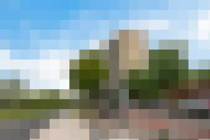 Groningensingel 567 Arnhem thumbnail 48