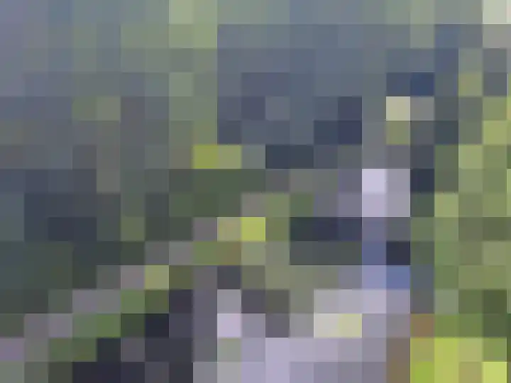 Groningensingel 571 Arnhem thumbnail 15