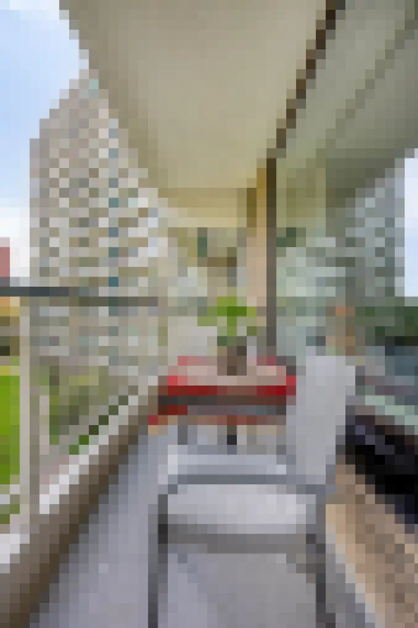 Groningensingel 597 Arnhem thumbnail 26