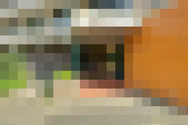 Groningensingel 603 Arnhem thumbnail 4