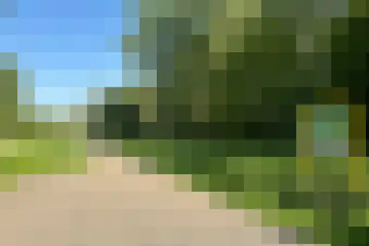 Groningensingel 603 Arnhem thumbnail 40