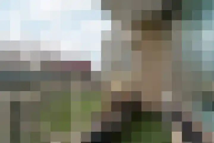 Groningensingel 605 Arnhem thumbnail 10