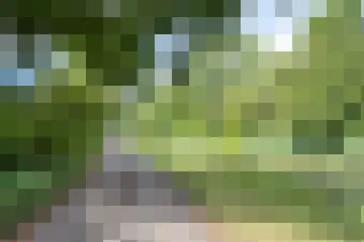 Groningensingel 619 Arnhem thumbnail 25