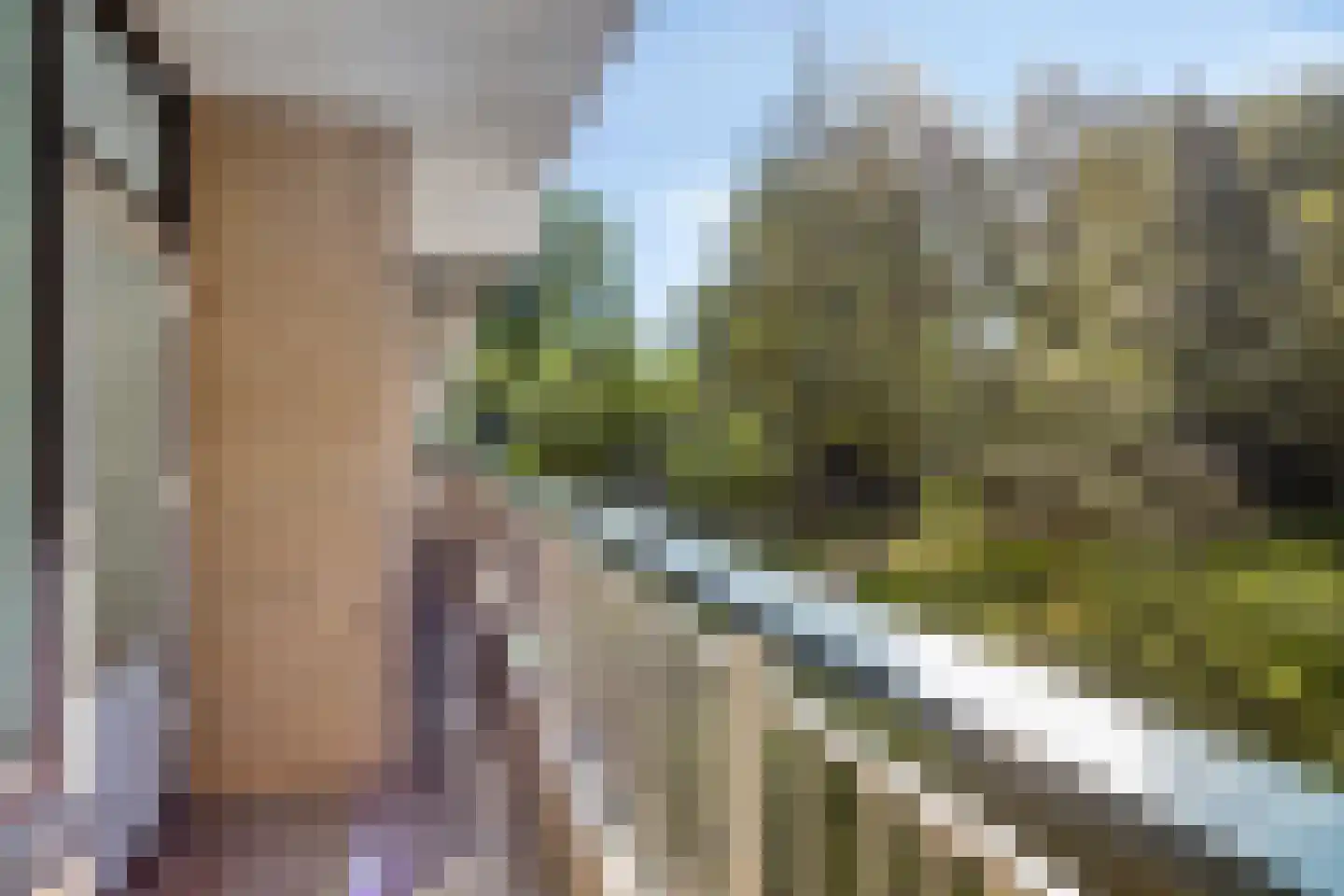 Groningensingel 655 Arnhem thumbnail 17