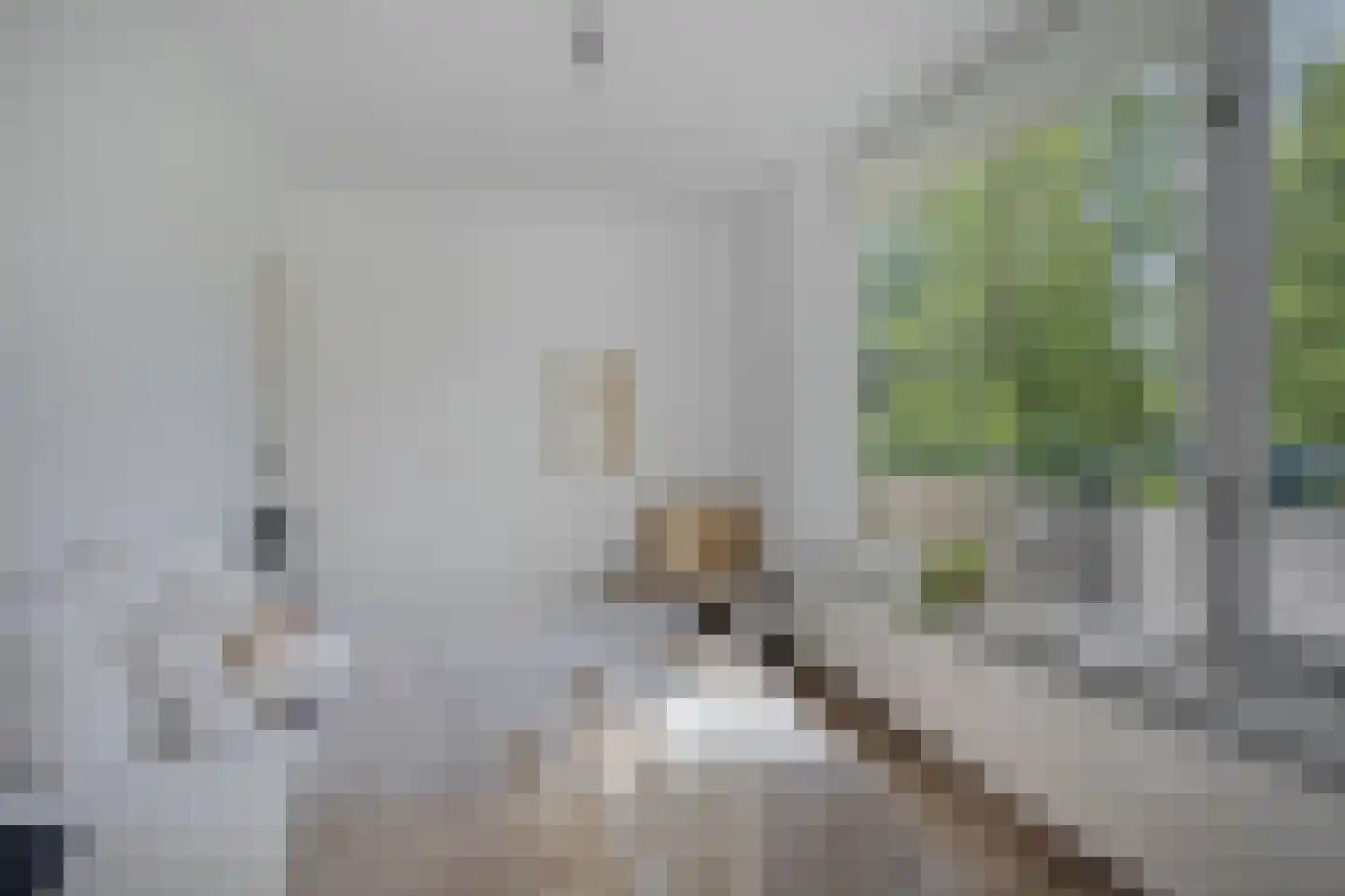Groningensingel 655 Arnhem thumbnail 24