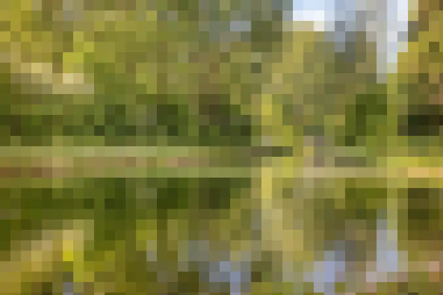 Groningensingel 655 Arnhem thumbnail 35