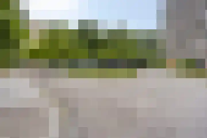 Groningensingel 705 Arnhem thumbnail 5