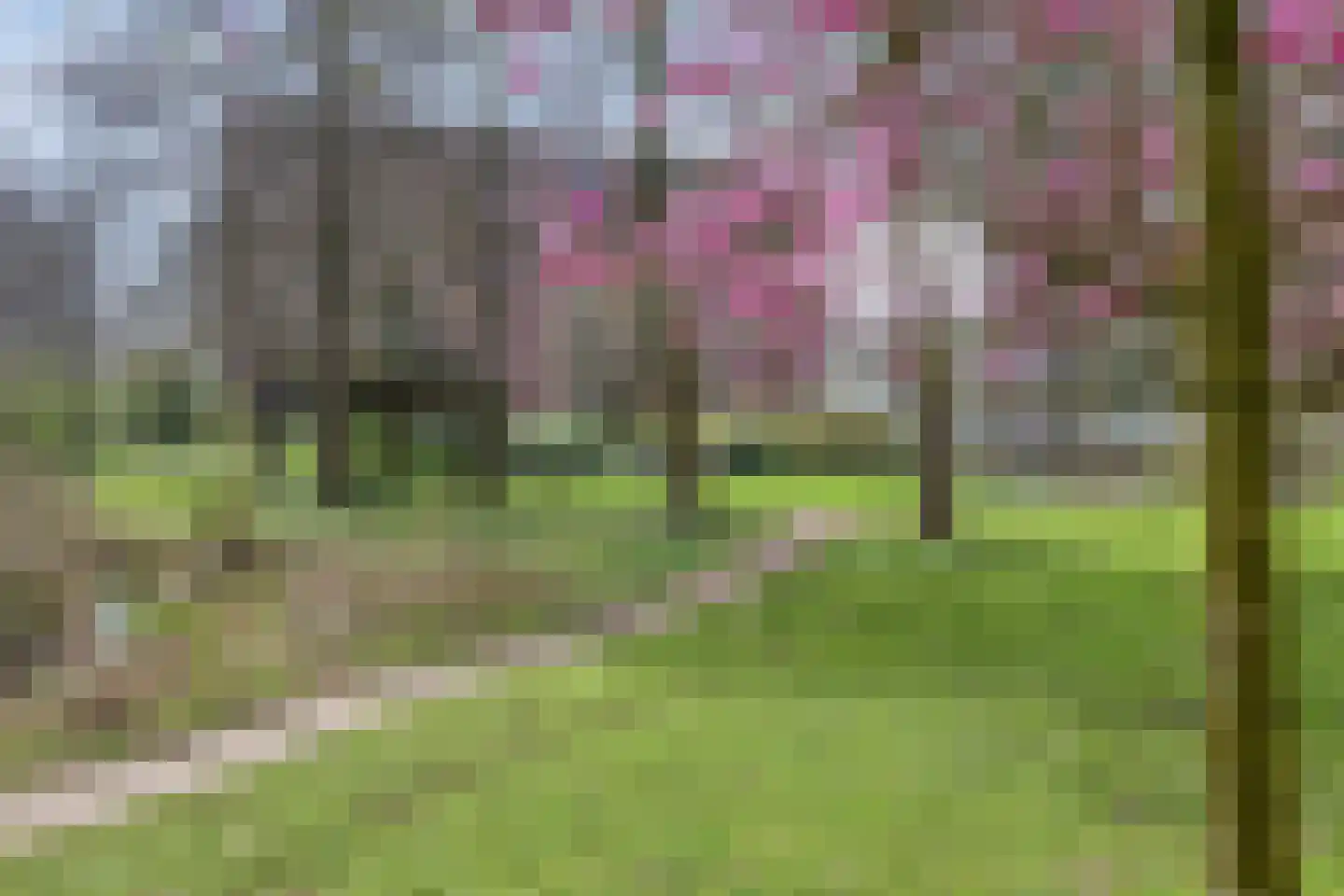 Groningensingel 727 Arnhem thumbnail 50