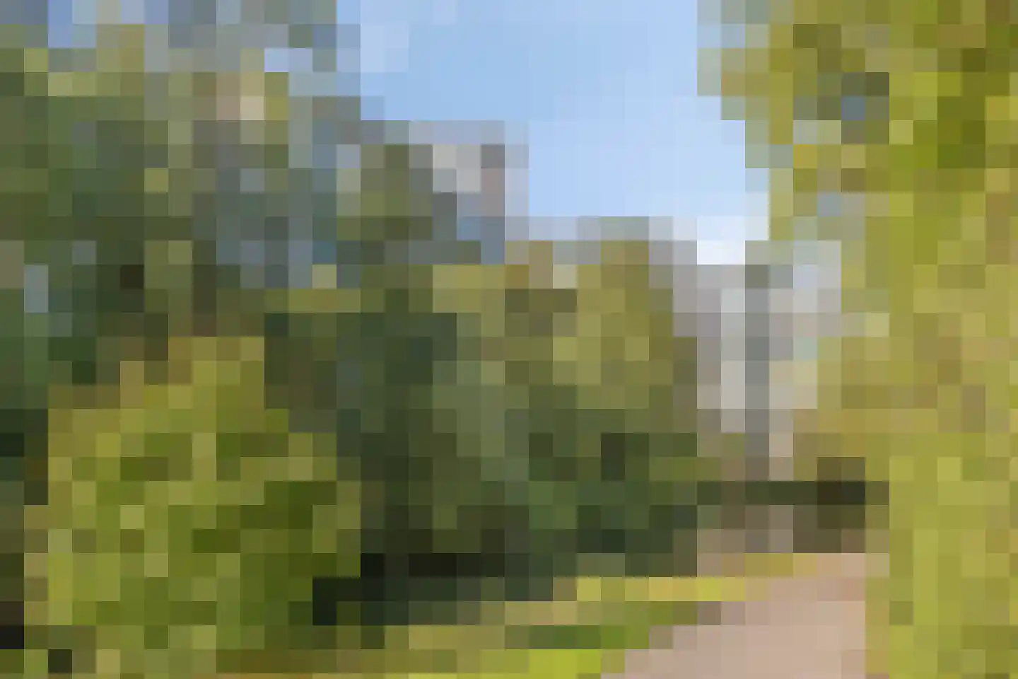 Groningensingel 747 Arnhem thumbnail 42