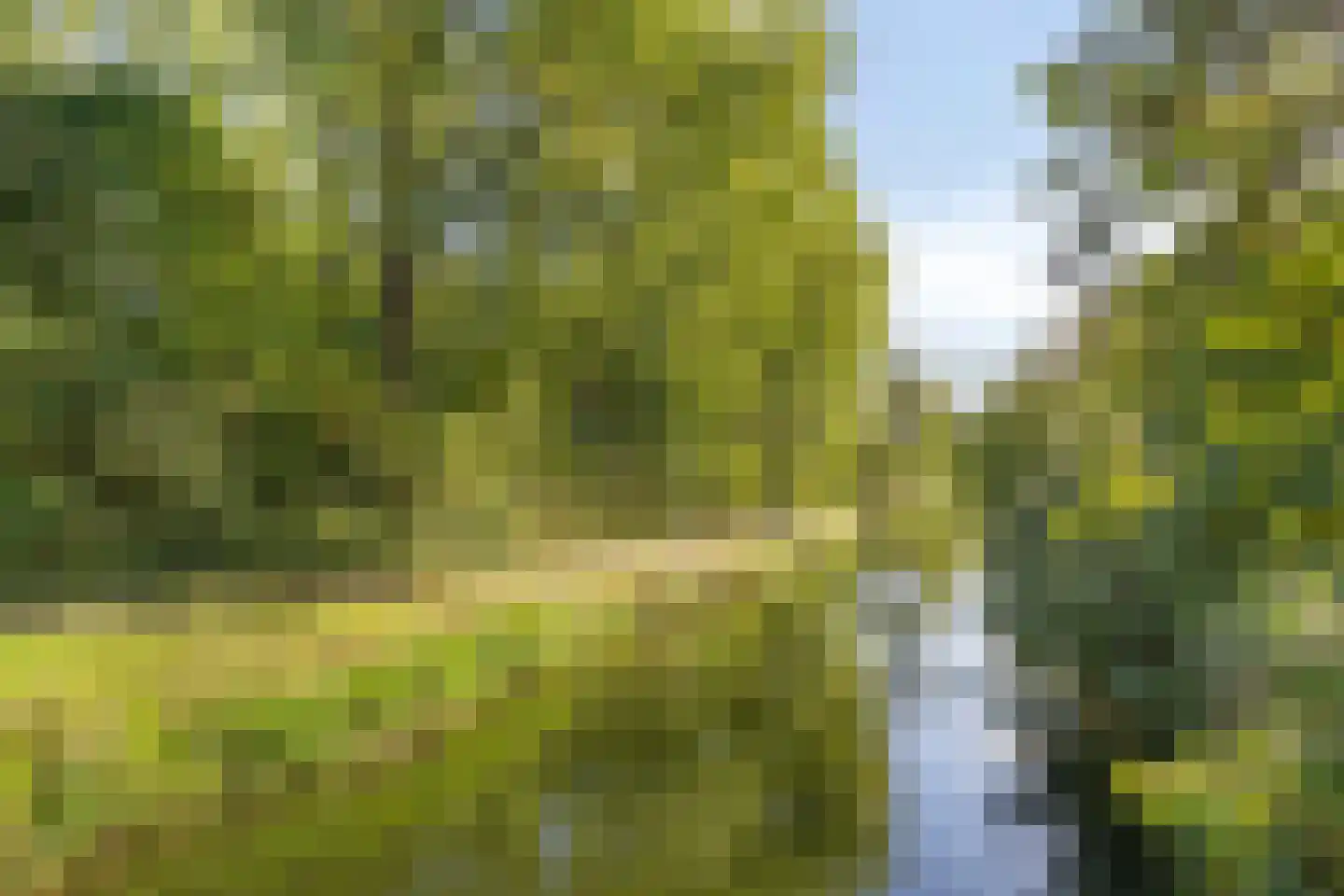 Groningensingel 747 Arnhem thumbnail 44