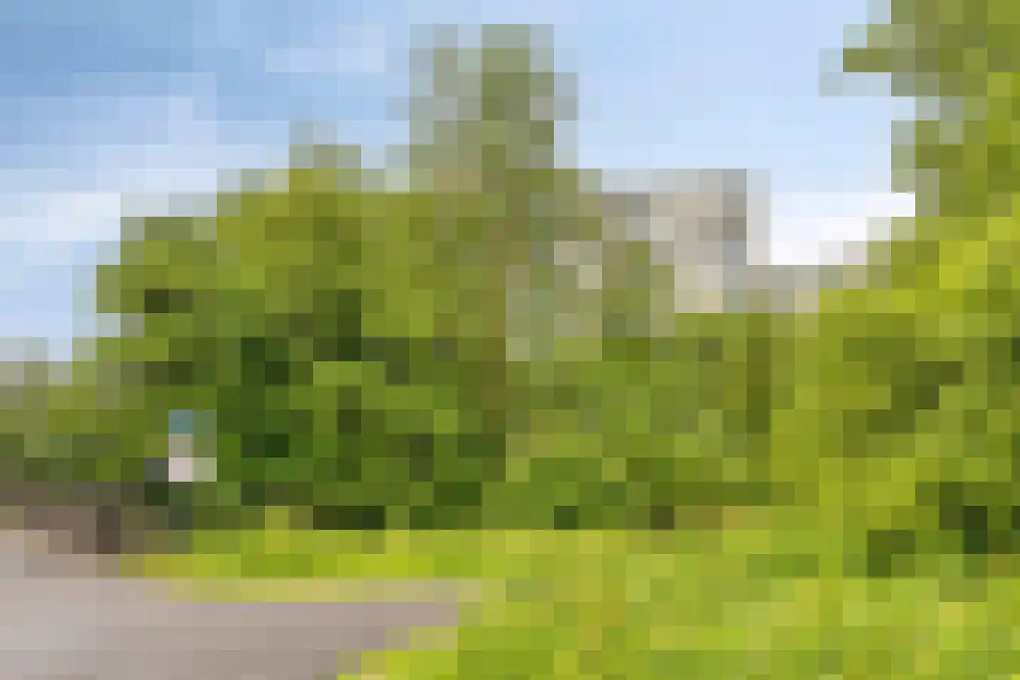 Groningensingel 751 Arnhem thumbnail 27