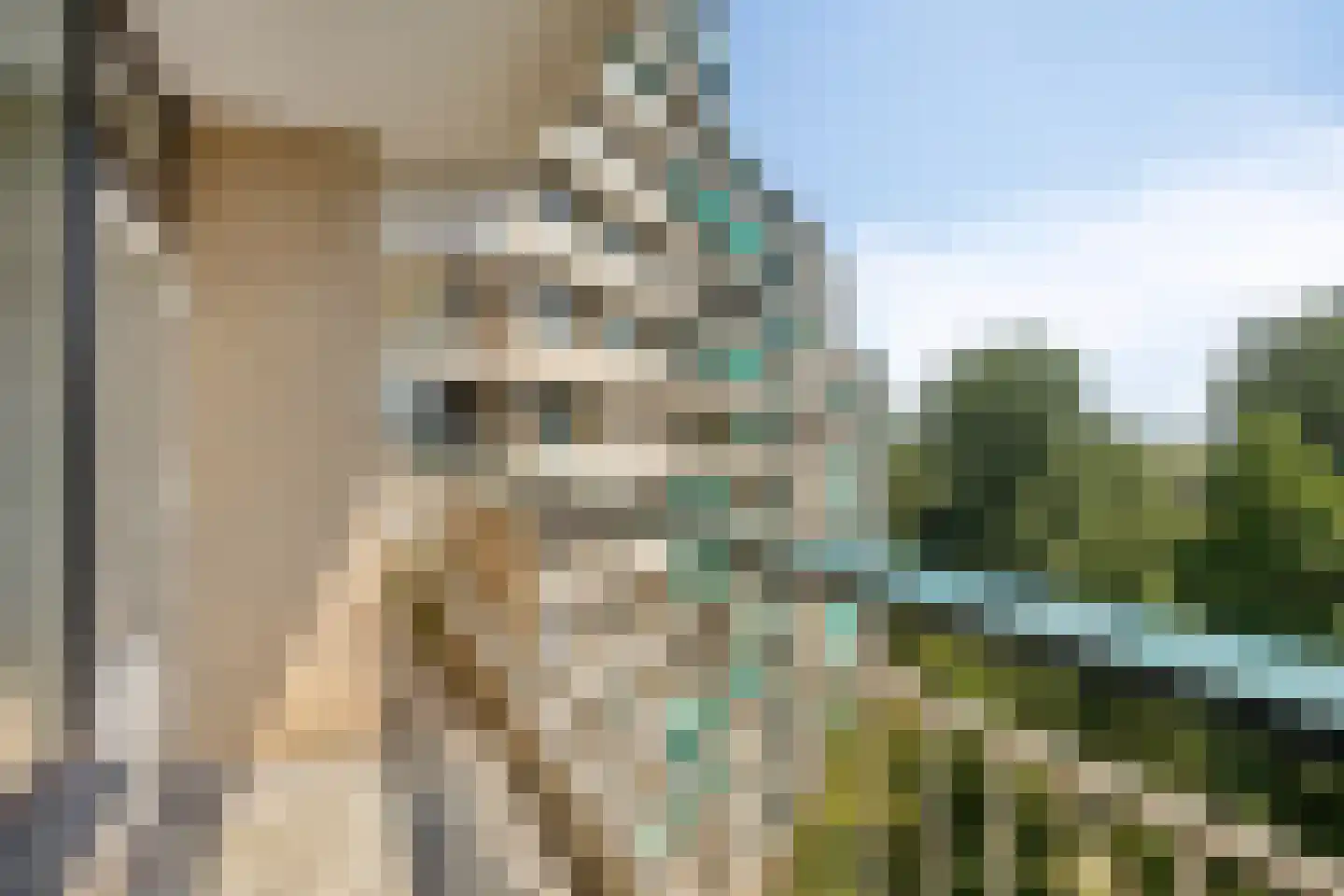 Groningensingel 799 Arnhem thumbnail 18