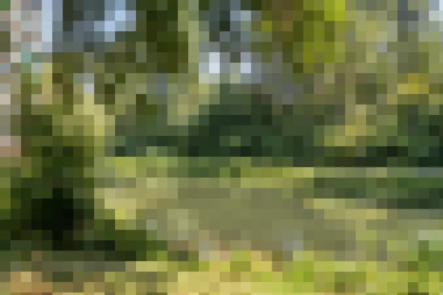 Groningensingel 799 Arnhem thumbnail 31
