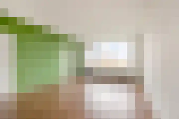 Groningensingel 805 Arnhem thumbnail 14