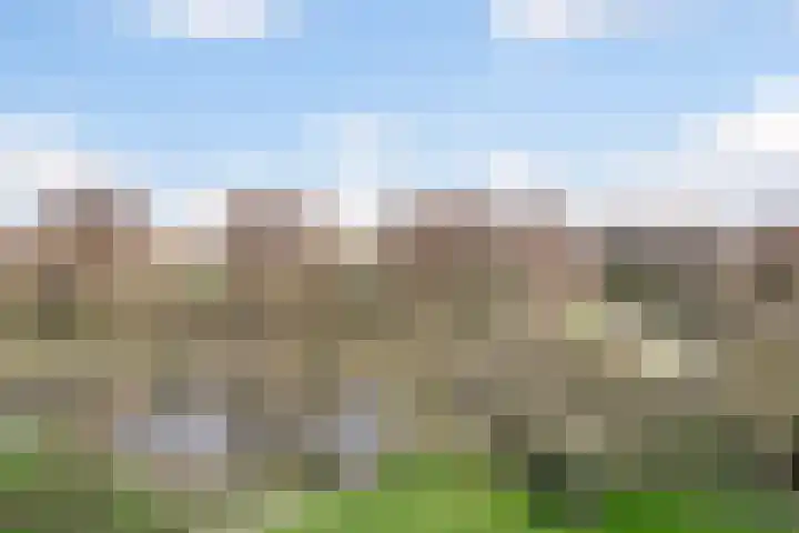 Groningensingel 805 Arnhem thumbnail 24