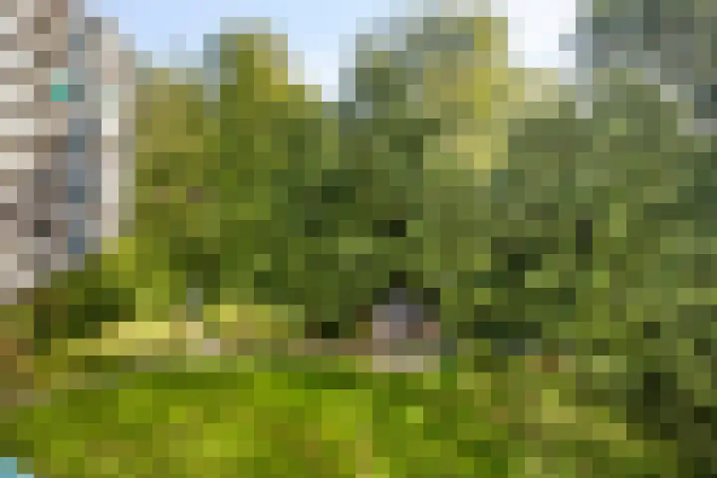 Groningensingel 883 Arnhem thumbnail 25