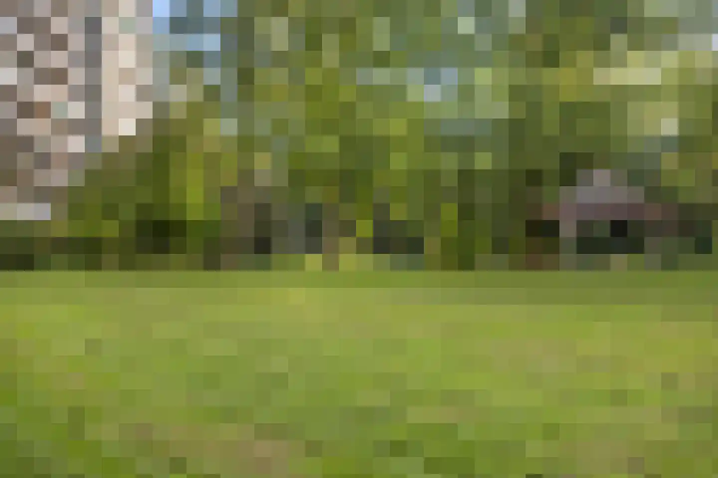 Groningensingel 883 Arnhem thumbnail 33