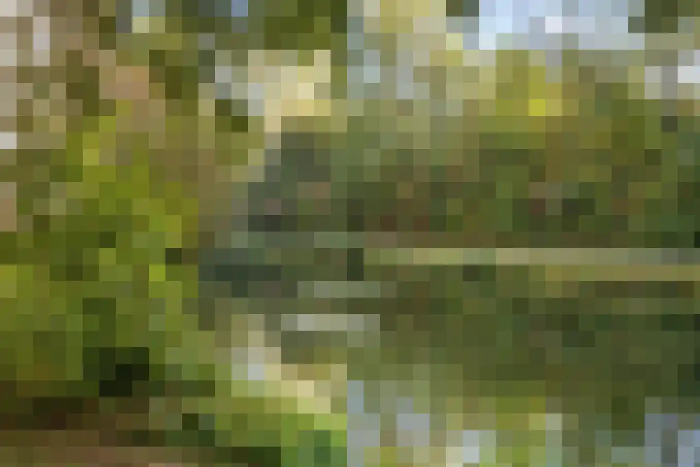 Groningensingel 883 Arnhem thumbnail 34