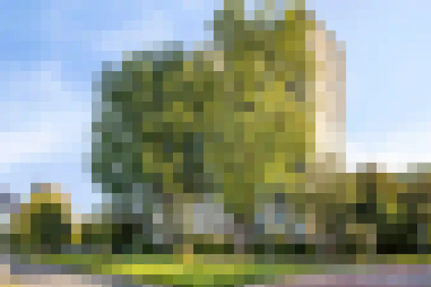 Groningensingel 883 Arnhem thumbnail 7